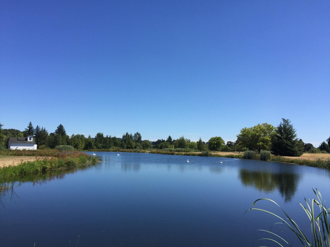 Meriwether National Golf Club-希尔斯伯勒必去景点