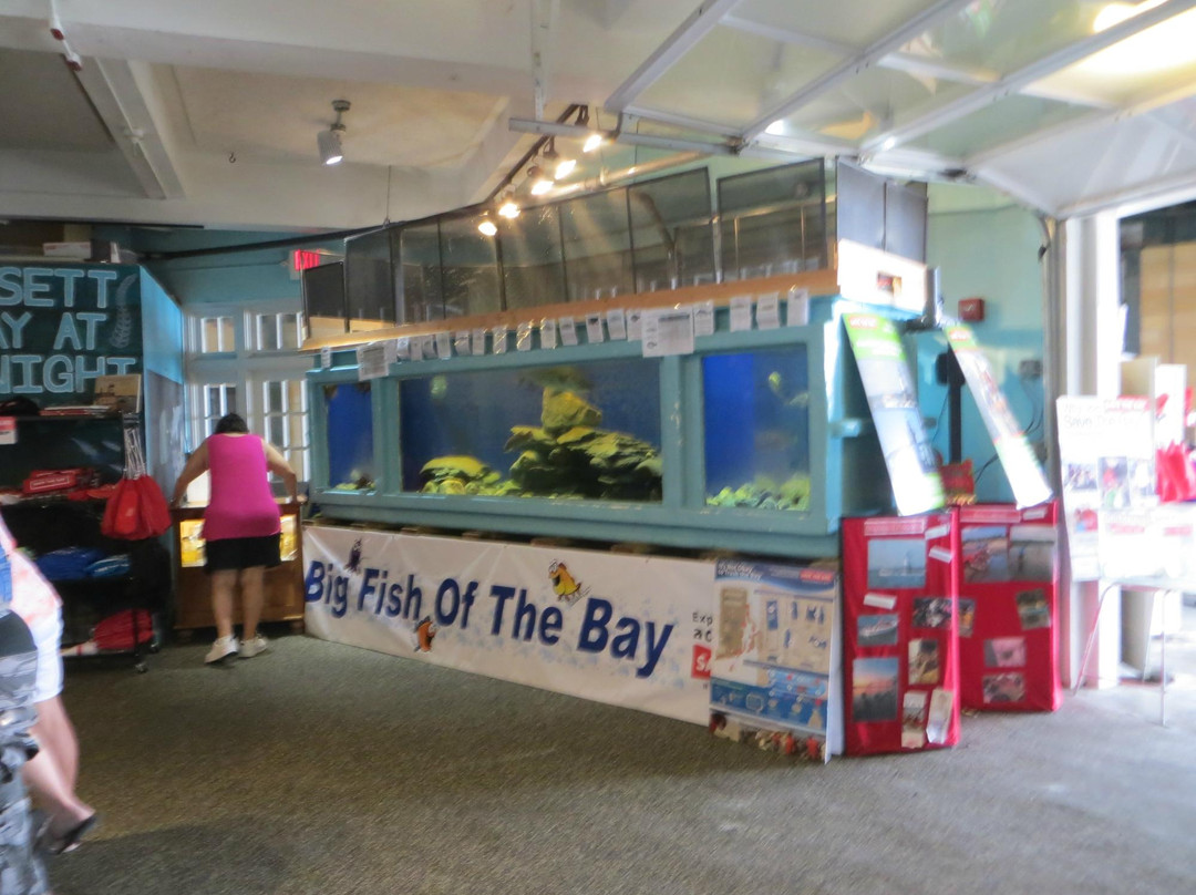 Exploration Center & Aquarium-纽波特必去景点