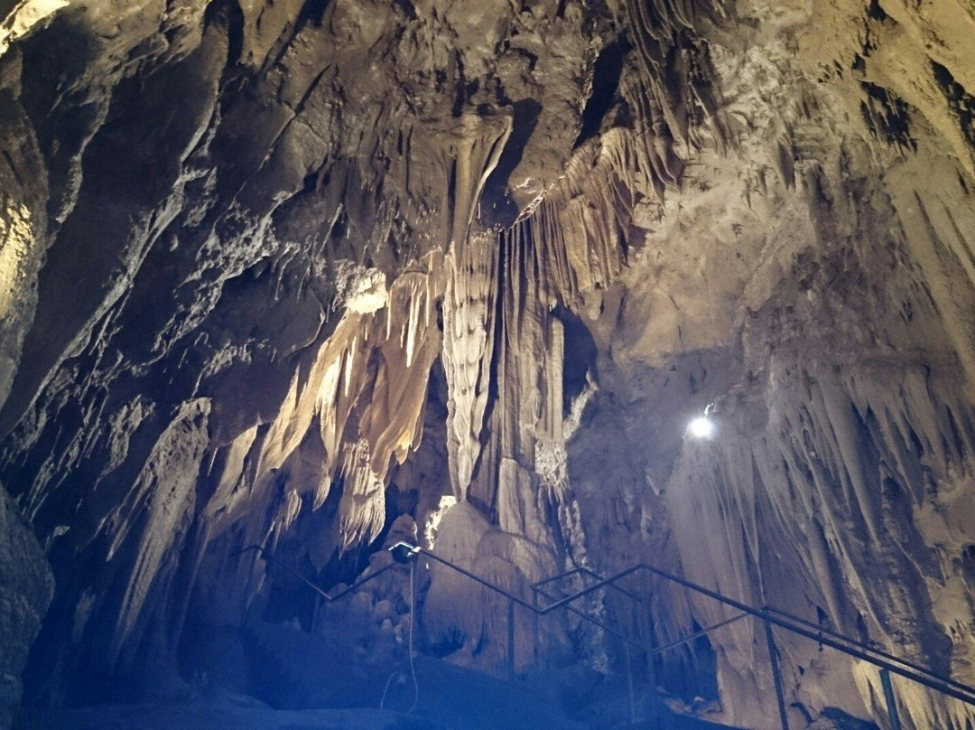 Kostanjevica Cave景点图片