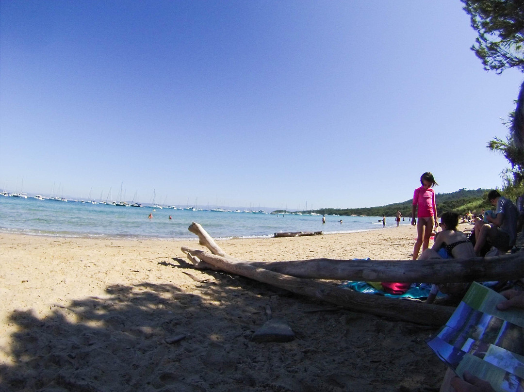 Plage de la Courtade-Porquerolles Island必去景点