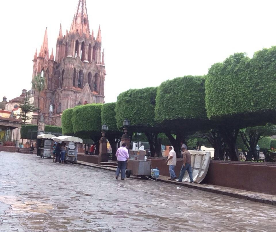 Jardín Allende景点图片