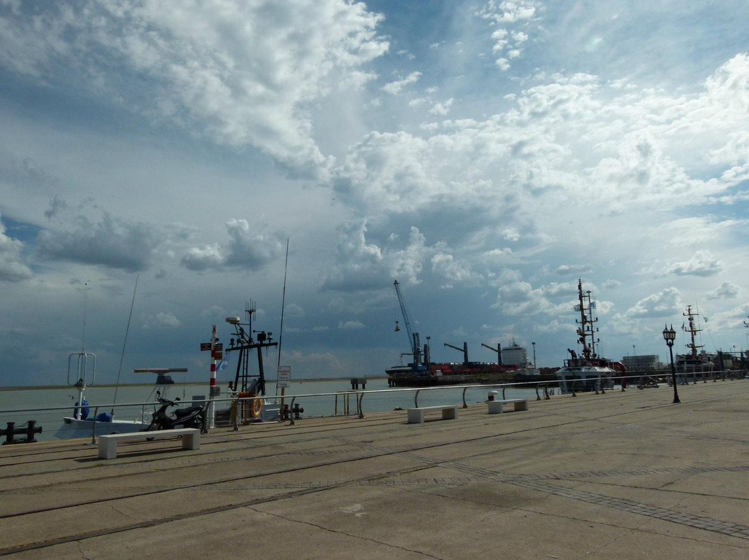 Ria de Bahia Blanca-Bahia Blanca必去景点