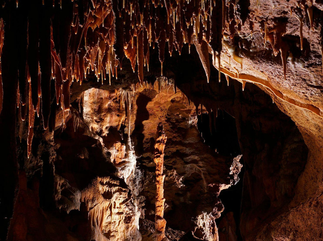 Grotte du Bosc景点图片
