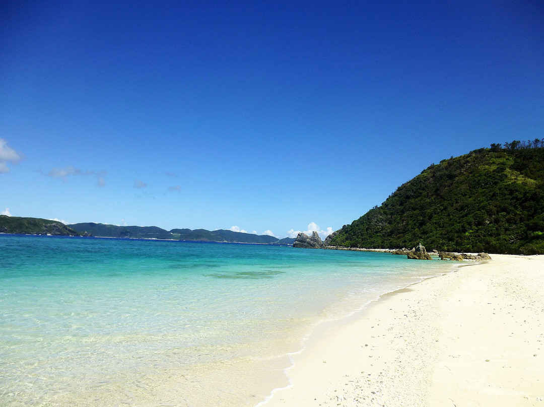 Patio House Reef主图