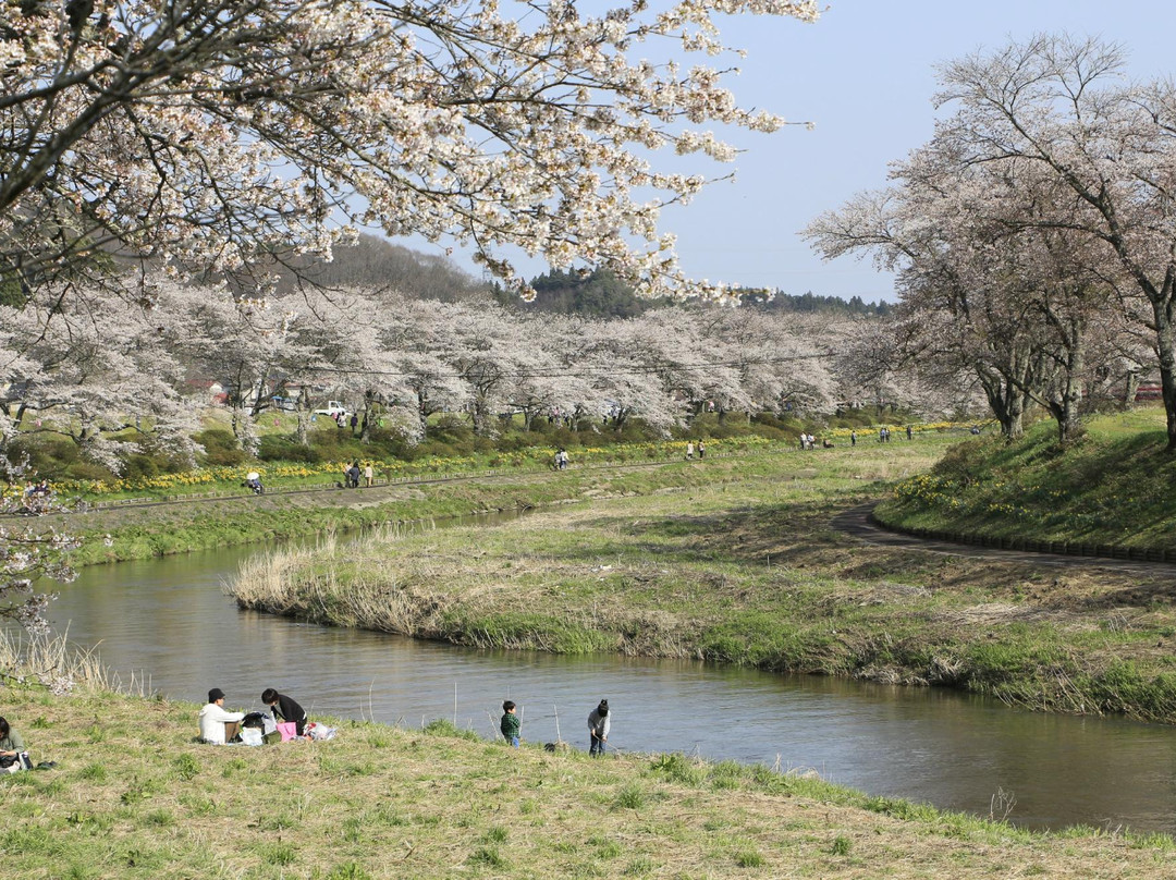 Natsui Sembong Sakura-小野町必去景点