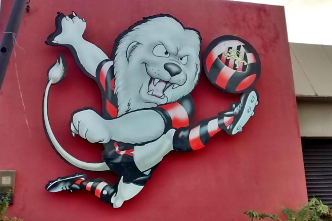 Estadio Adelmar da Costa Carvalho-累西腓必去景点