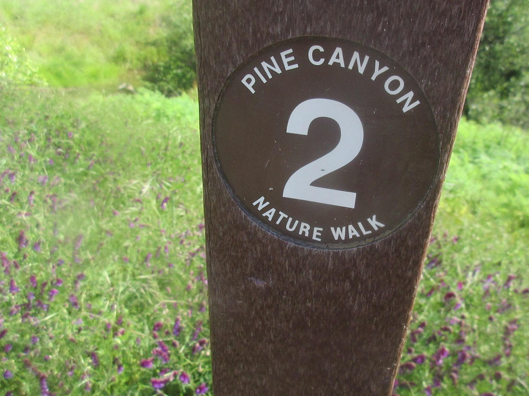 Castle Rock Regional Recreation Area-核桃溪必去景点