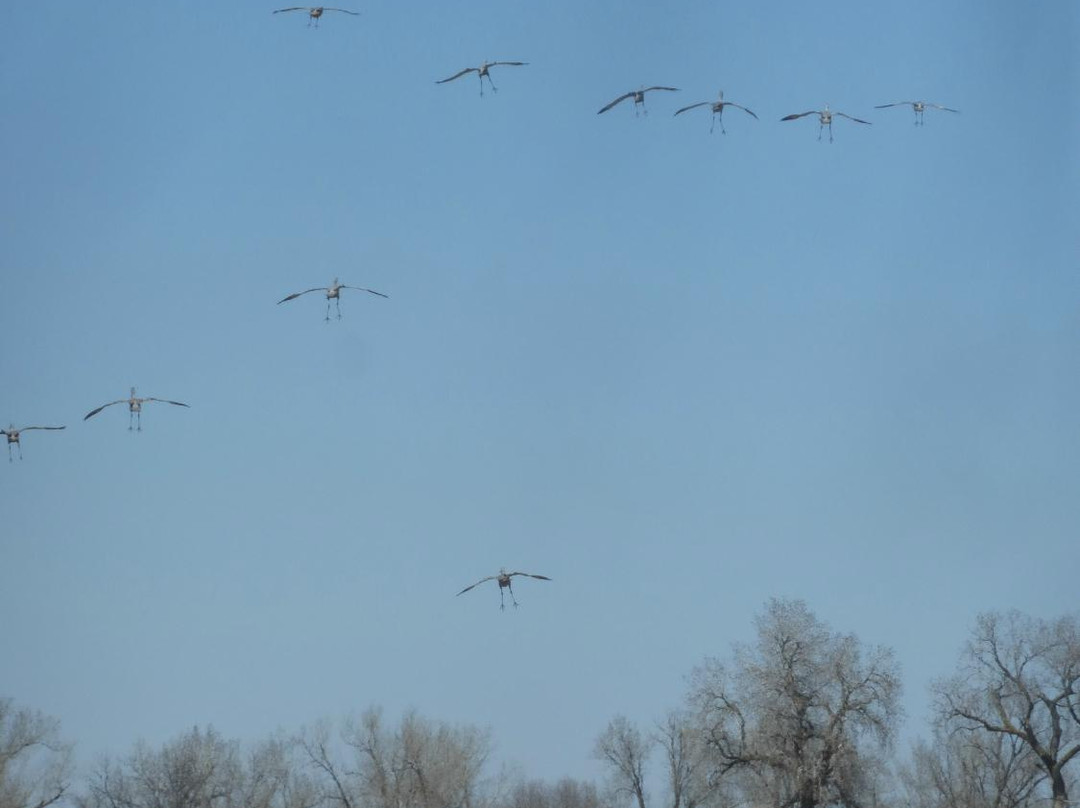 Platte River-格兰德岛必去景点