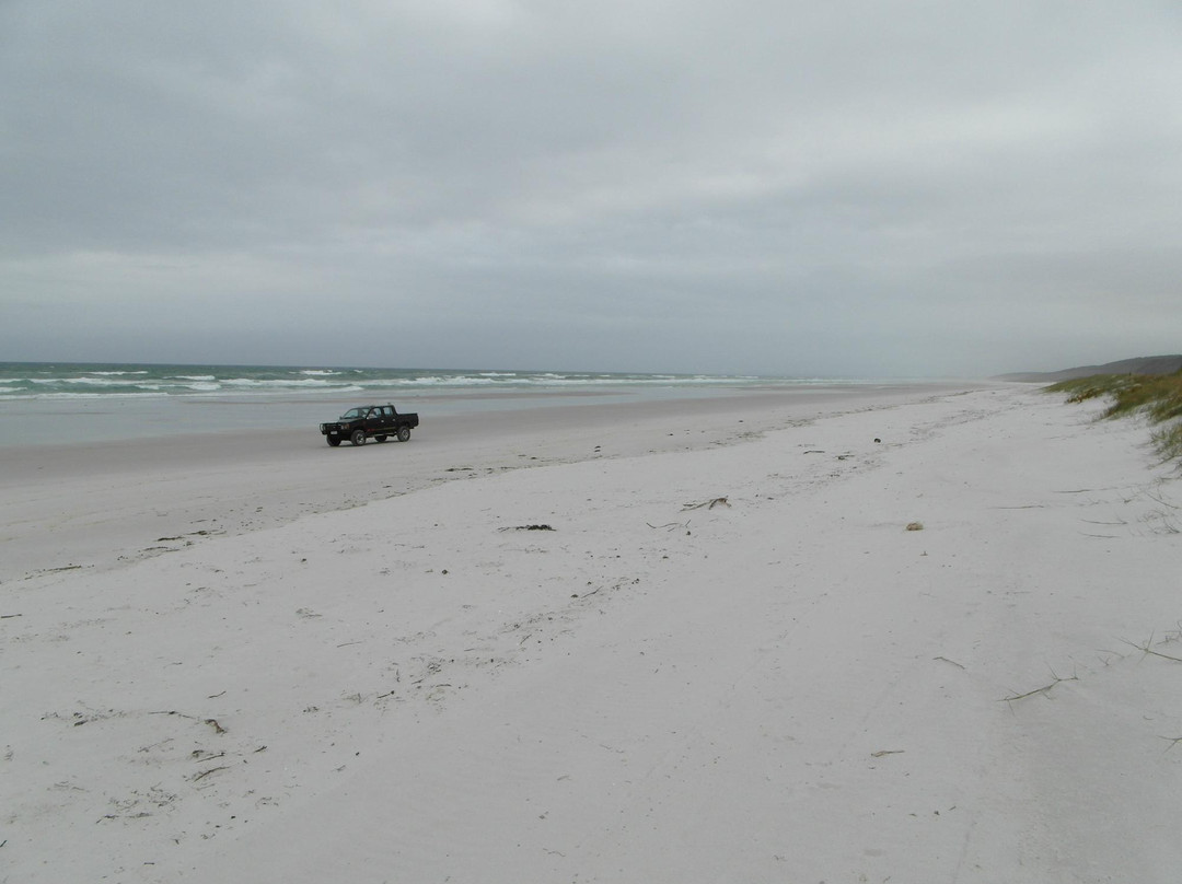 Kahikatoa Fishing Ventures-凯塔亚必去景点