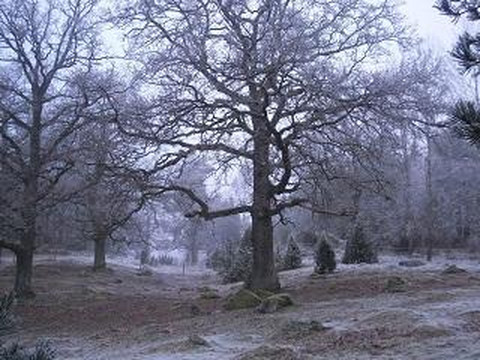Gourmetvandring-Stjarnhov必去景点