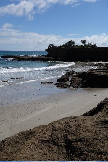 Tawharanui Regional Park-瓦卡沃夫必去景点