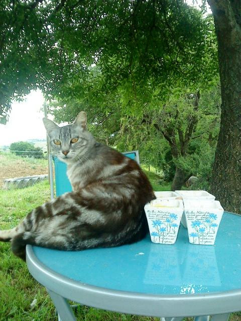 Hills and Trails-Murci必去景点