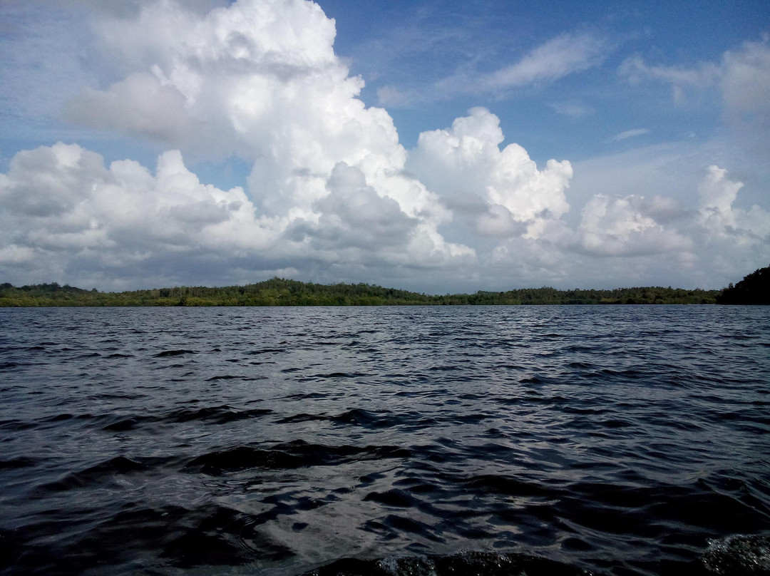 Madu River Safari by Buddhi-巴拉碧提雅必去景点