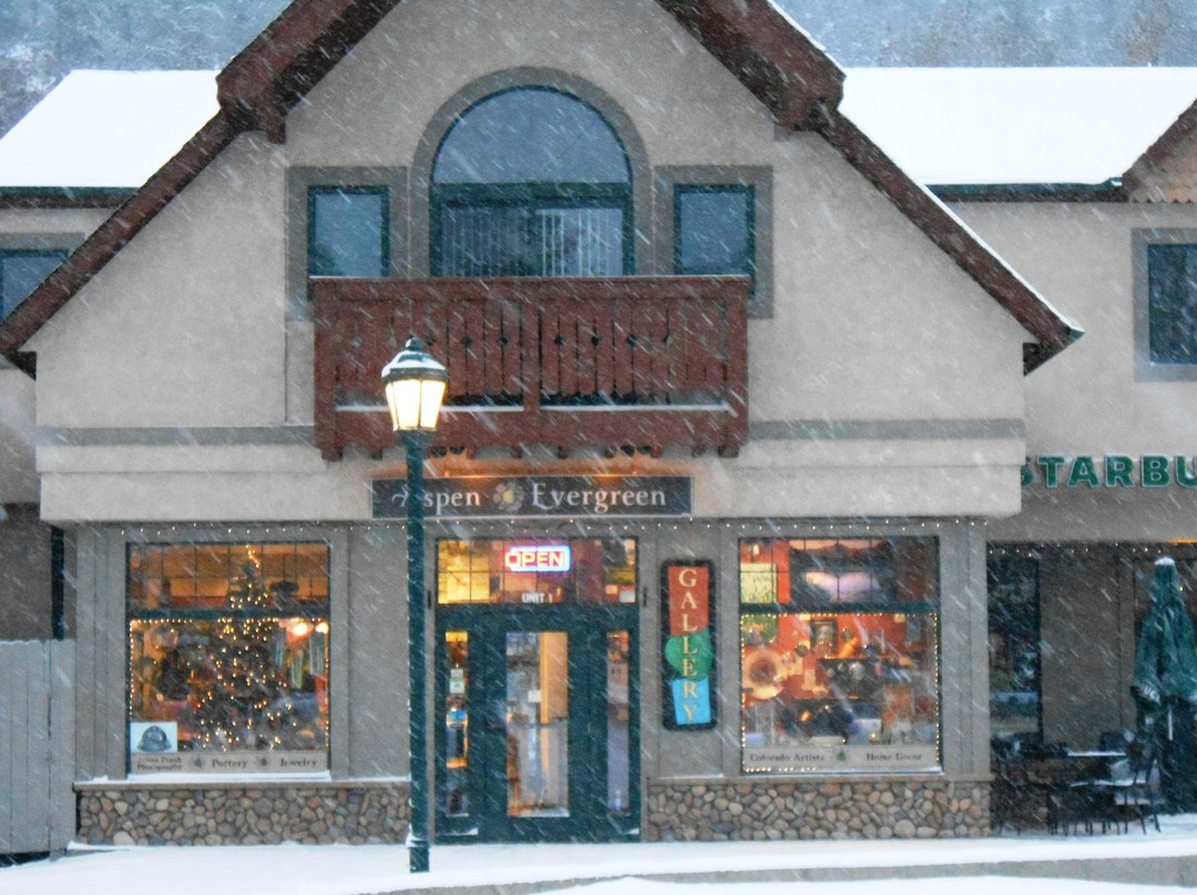 Aspen and Evergreen Gallery-埃斯蒂斯公园必去景点