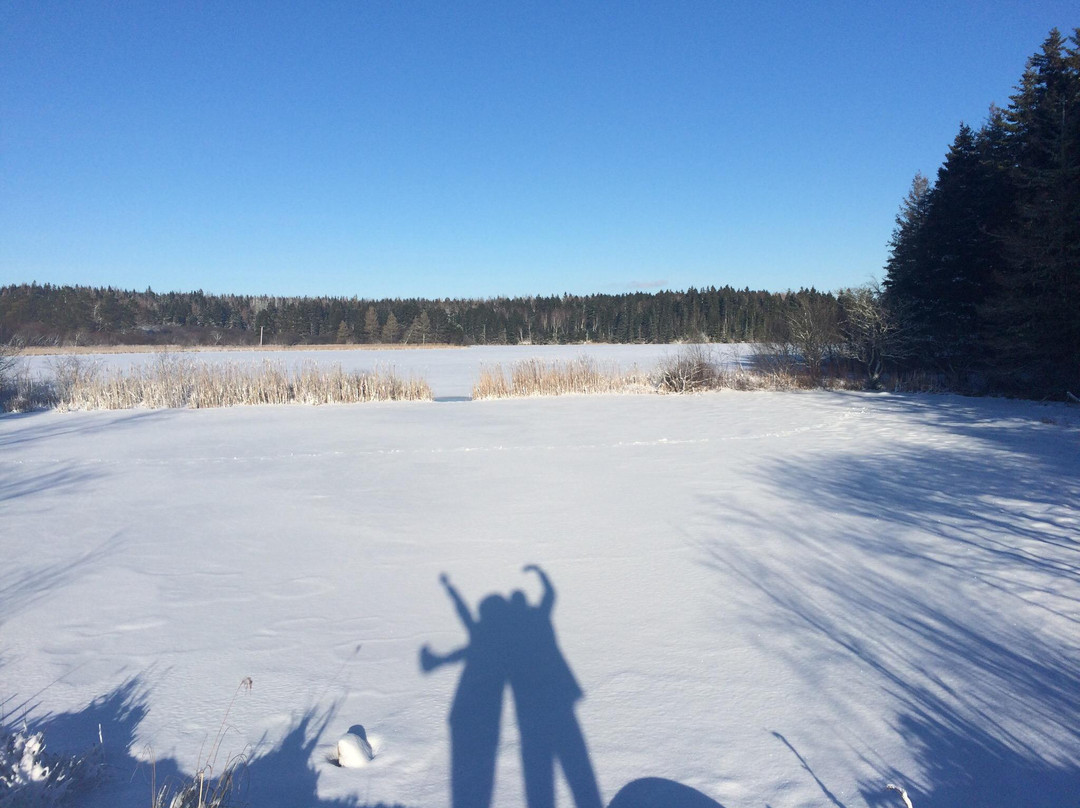 Amherst Point Bird Sanctuary-Amherst必去景点