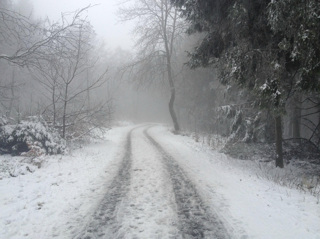 Herscheid旅游攻略图片