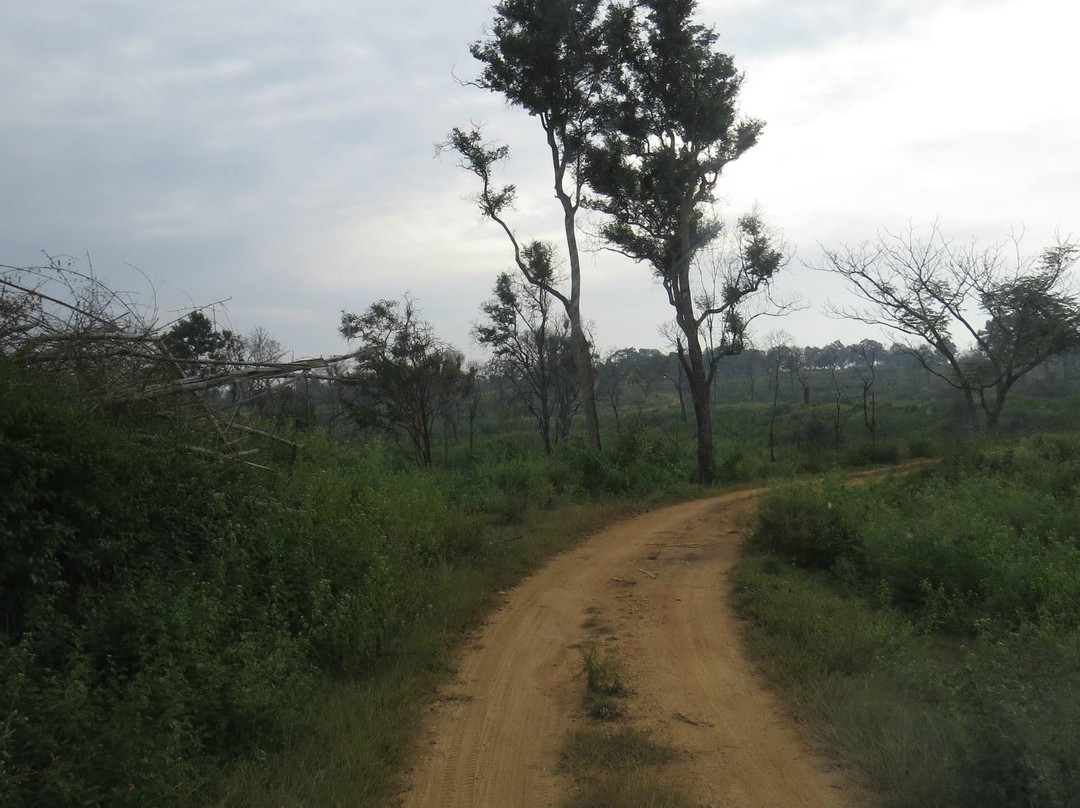 BRT Wildlife Sanctuary景点图片