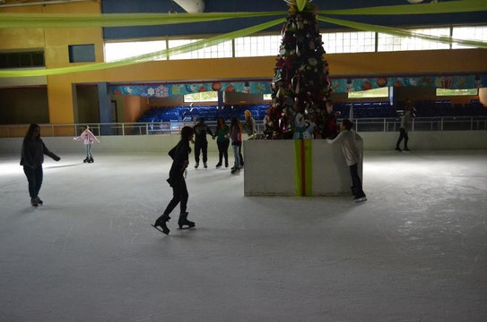 Ice Skating-Aguadilla必去景点