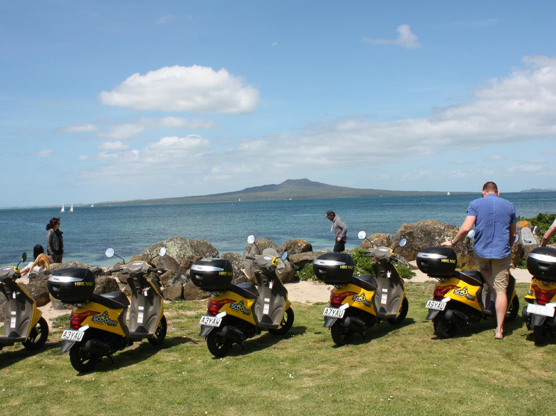 SCOOtours-奥克兰中心地区必去景点