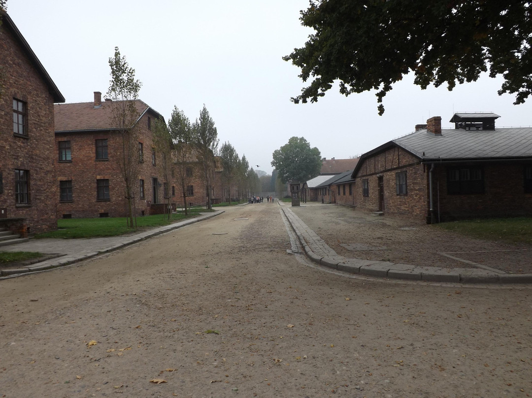 Krakow Auschwitz - Tours-克拉科夫必去景点
