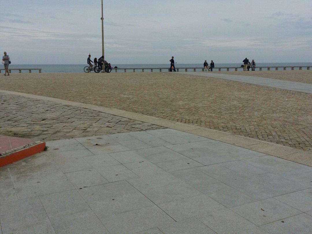 Praia da Torreira景点图片