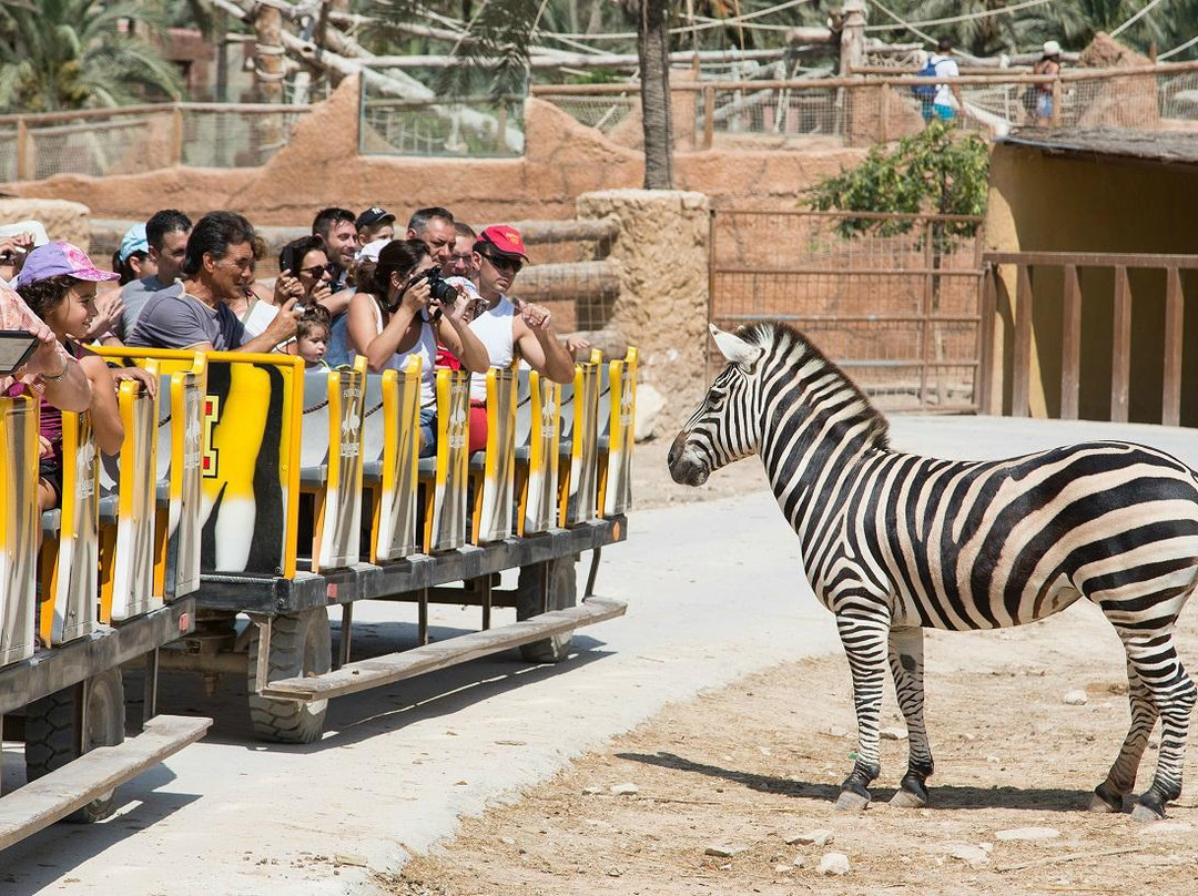 Rio Safari Elche景点图片
