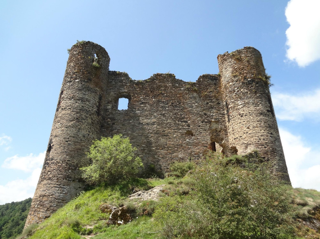 Chateau d'Alleuze-Alleuze必去景点