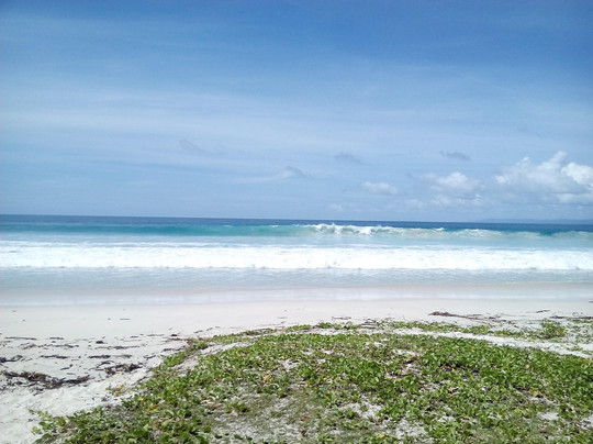 Scuba Lov.in-哈夫洛克岛必去景点