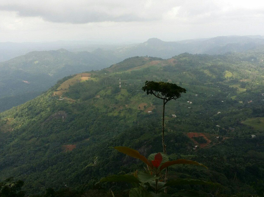 Alagalla Mountain Range景点图片