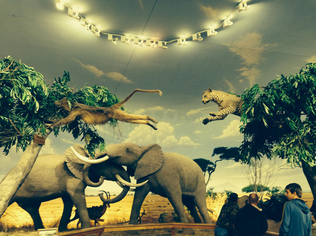 Cabela's景点图片