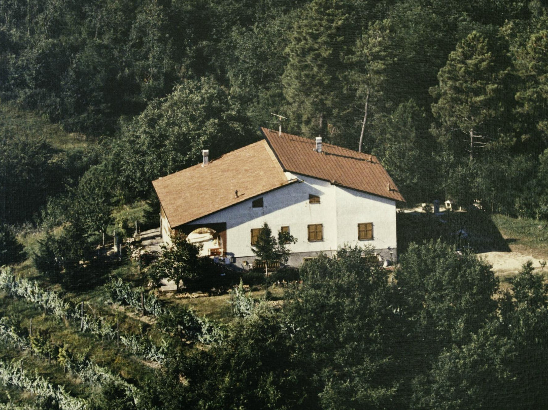 Soliera Apuana酒店住宿-Ca' dei Rinaldi