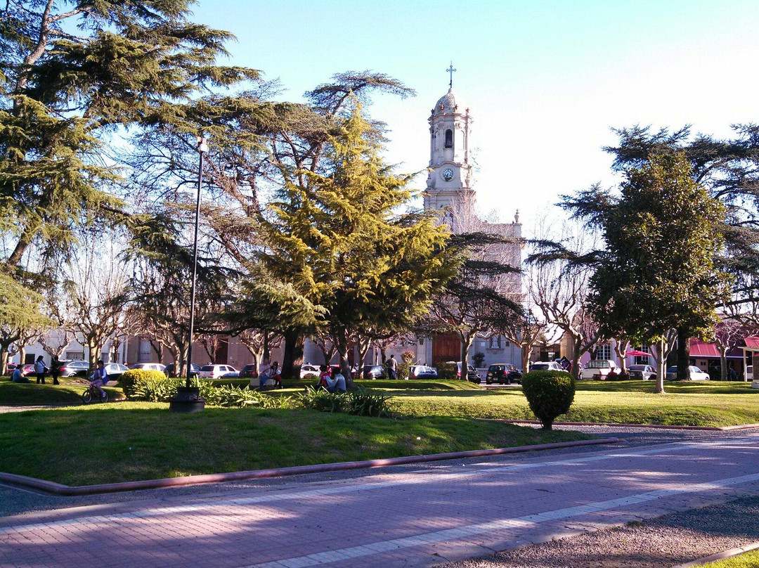 Plaza San Martín景点图片