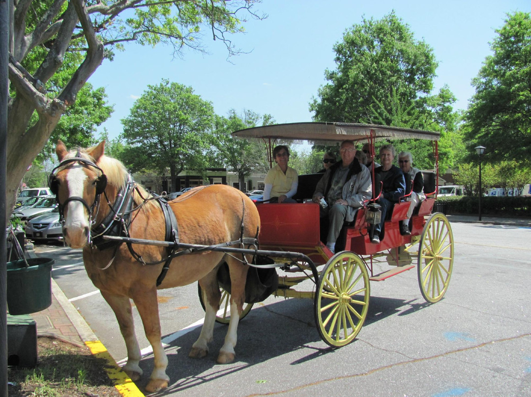 North Georgia Tours-麦迪逊必去景点