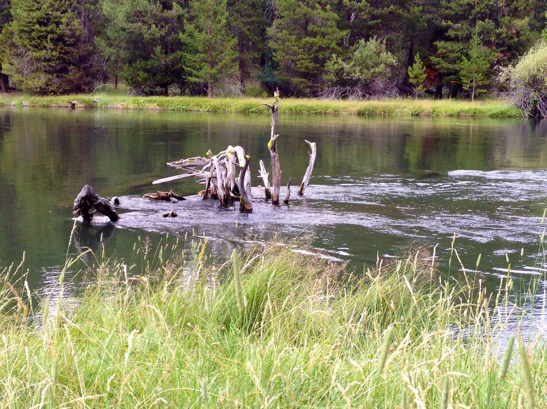 La Pine State Park-La Pine必去景点