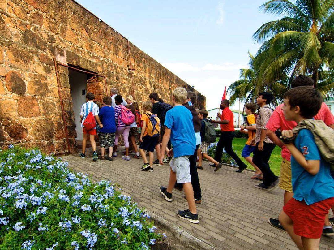 Mozambican Adventures景点图片