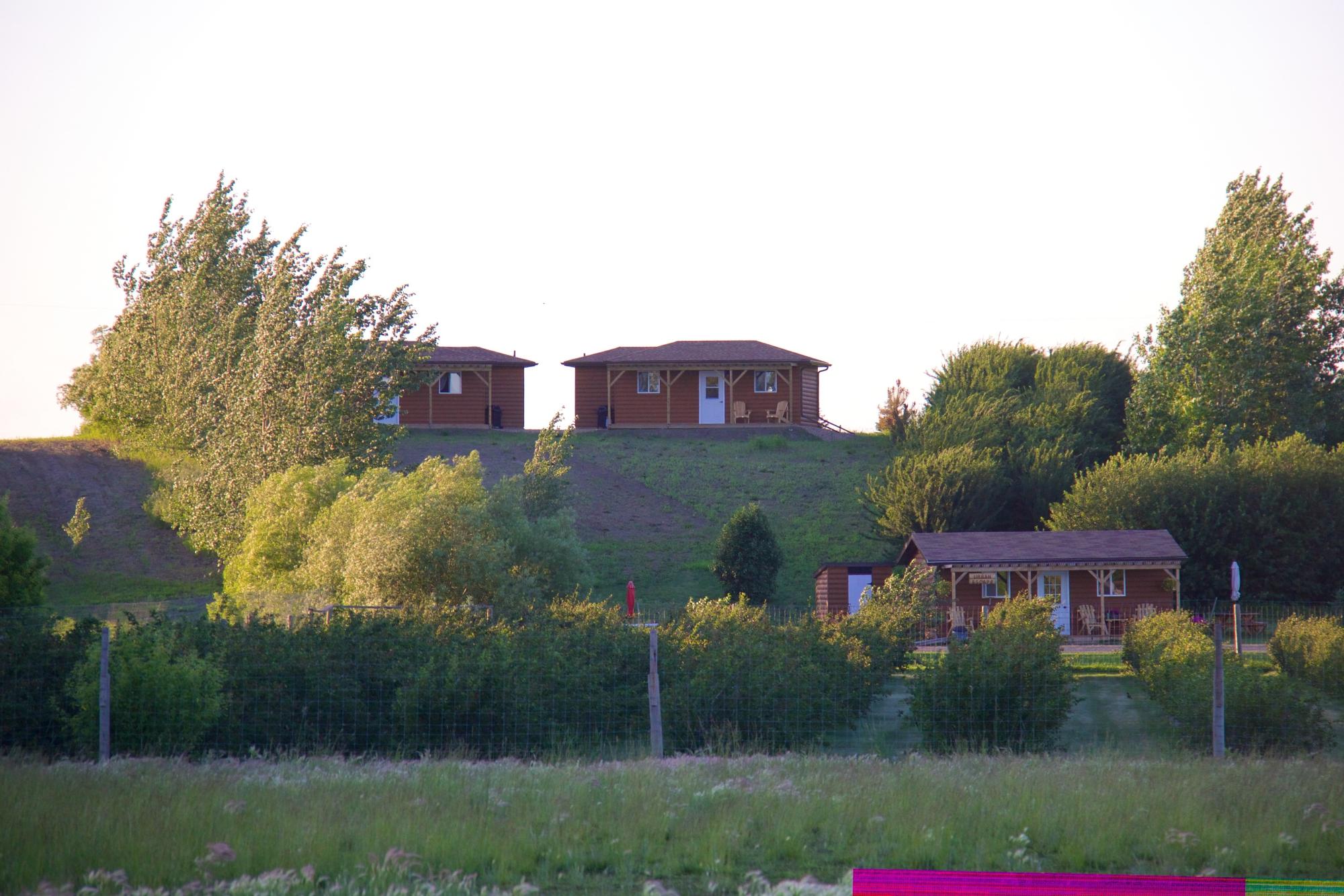 Orchard View Bed And Breakfast-客卧