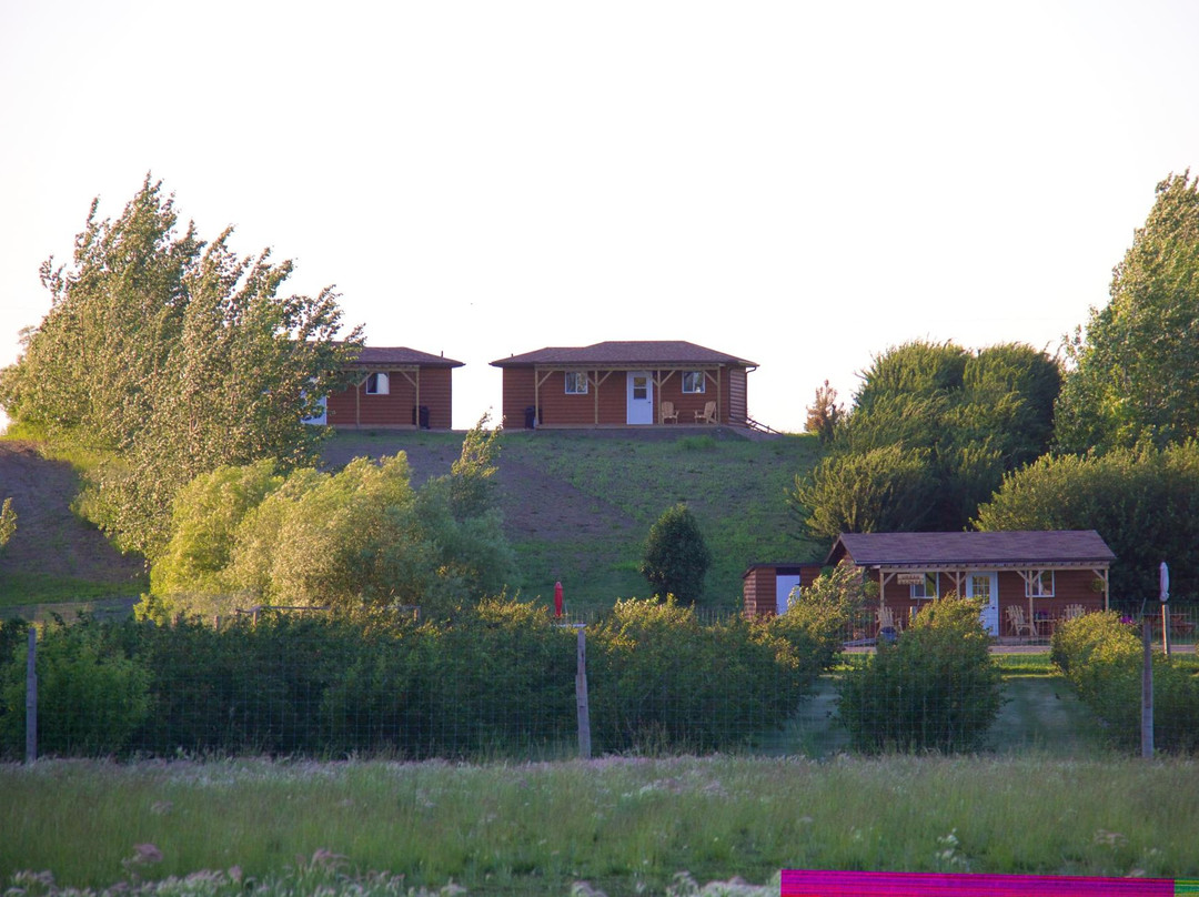 Orchard View Bed And Breakfast主图