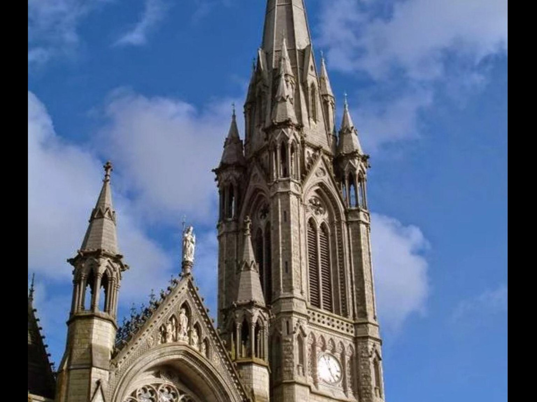 St Colman’s Cathedral-科夫必去景点