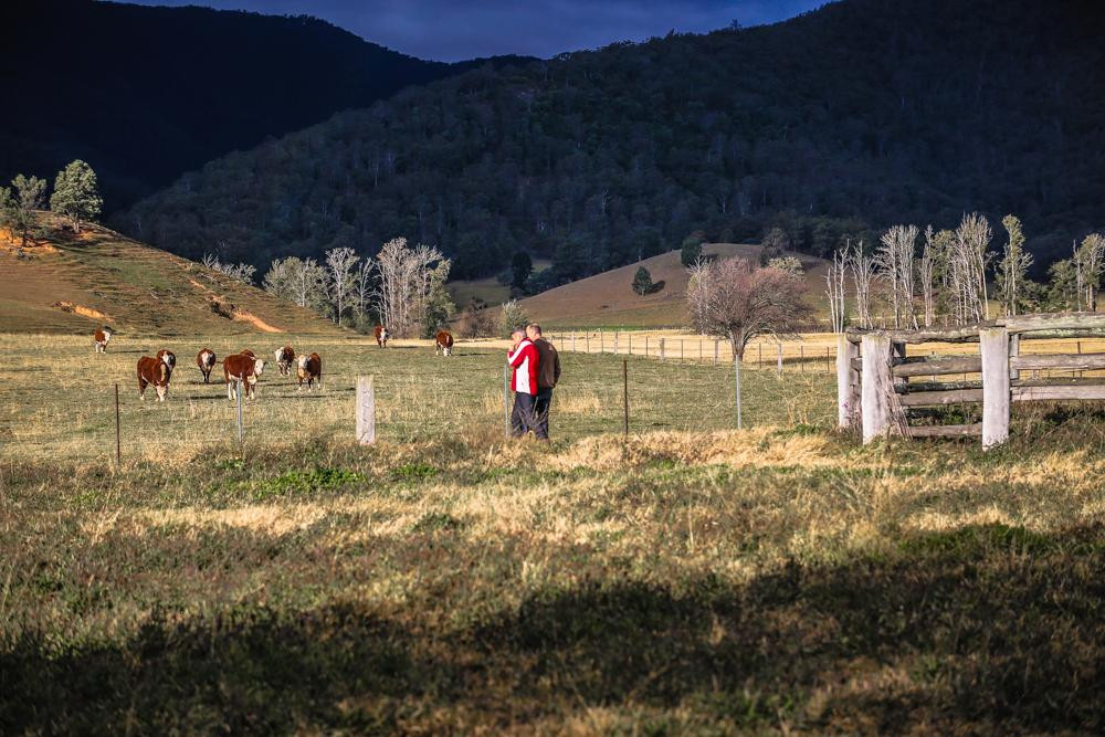Araluen Old Courthouse Bed & Breakfast主图