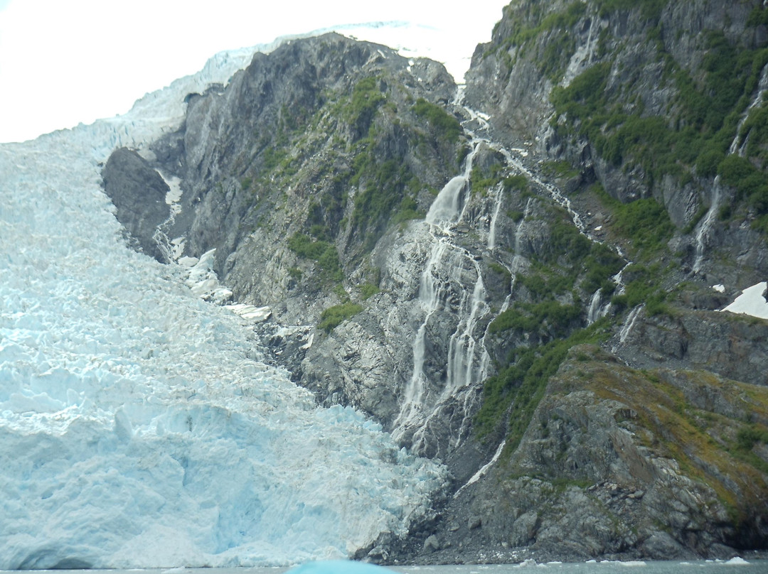 Lazy Otter Charters-惠提尔必去景点