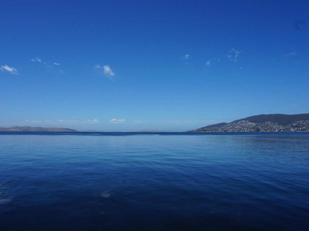 Flying Fish Sailing-莫斯曼必去景点