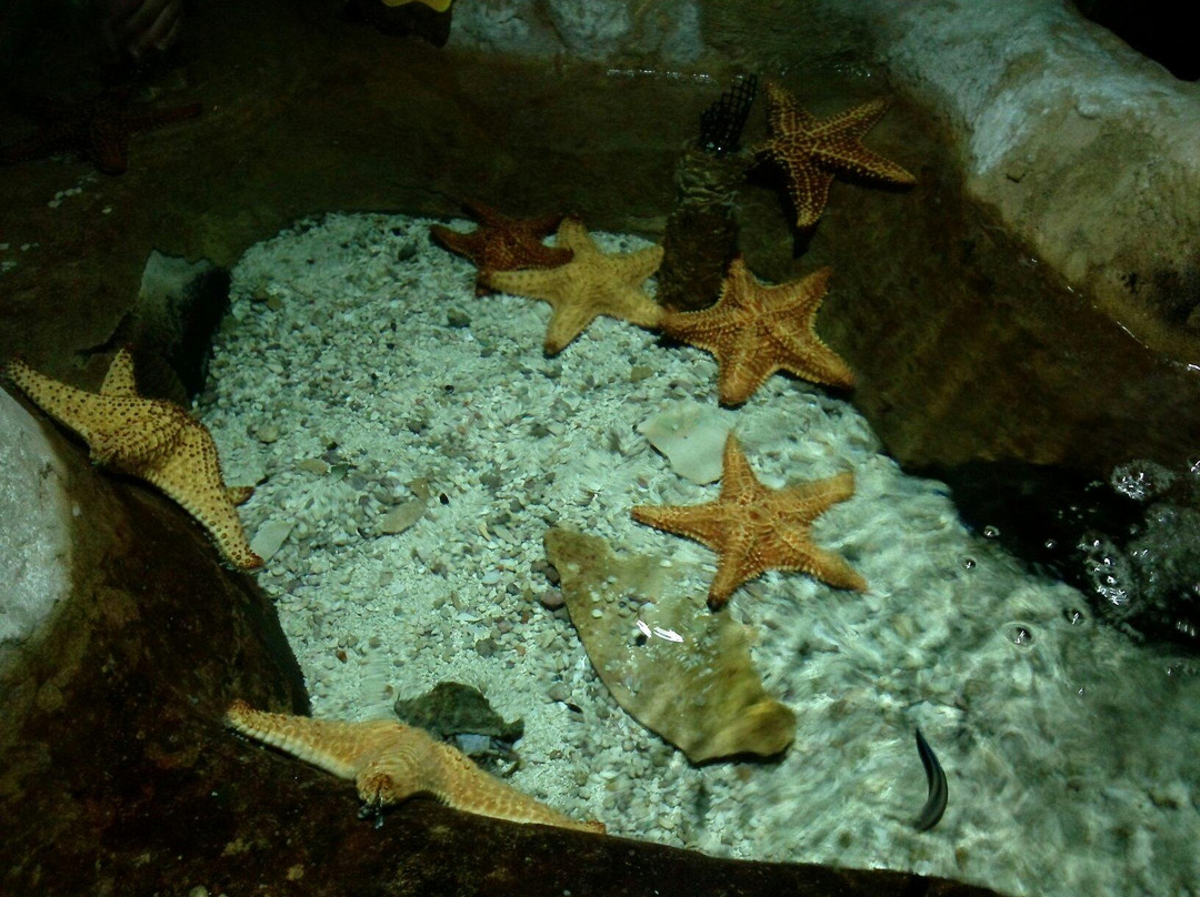 Aquamundo Sambil Santo Domingo-圣多明哥必去景点
