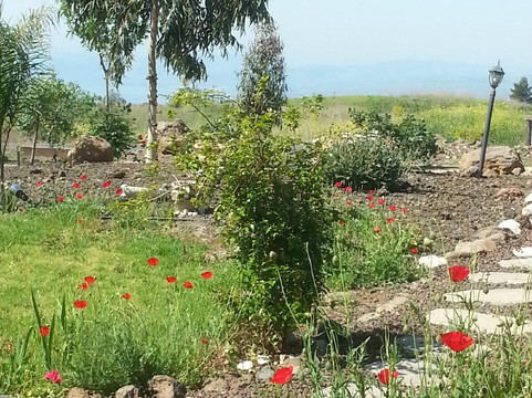 Biktotliat cabins主图