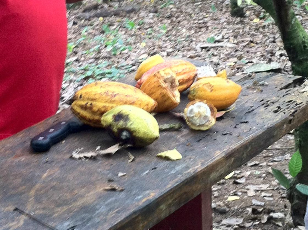 Fazenda Yrere-Ilheus必去景点