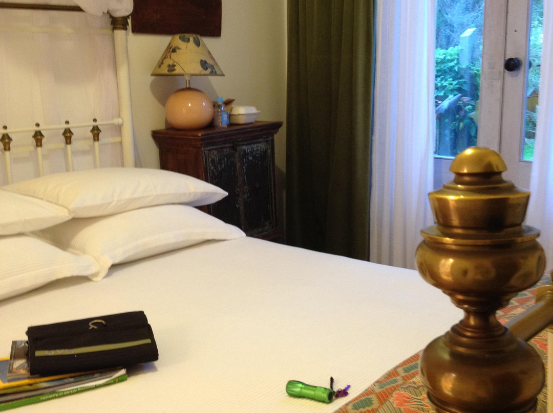 廷布恩酒店住宿-Sounds of the Sea B&B