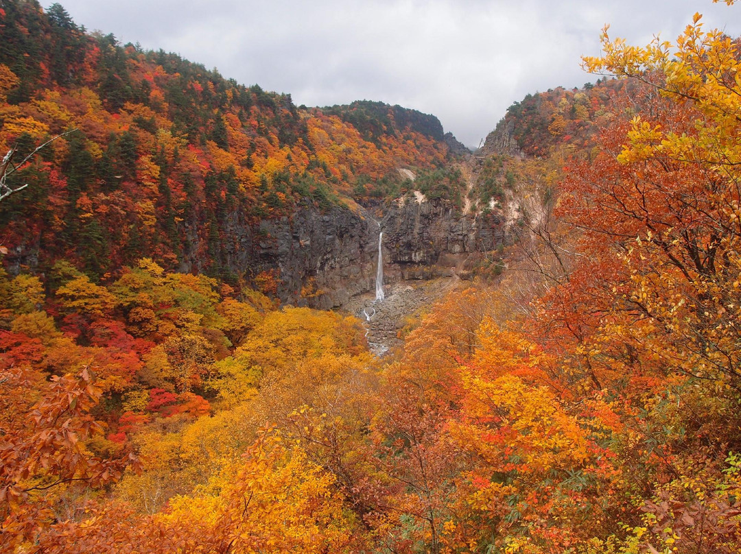 Numajiri Kogen-猪苗代町必去景点
