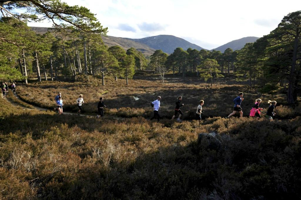 Running the Highlands - Private Day Tours-Banchory必去景点