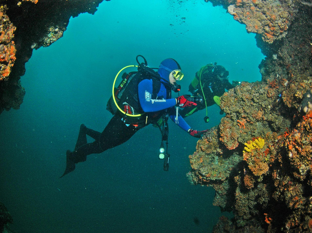 Diving Center Diving Pula-普拉必去景点