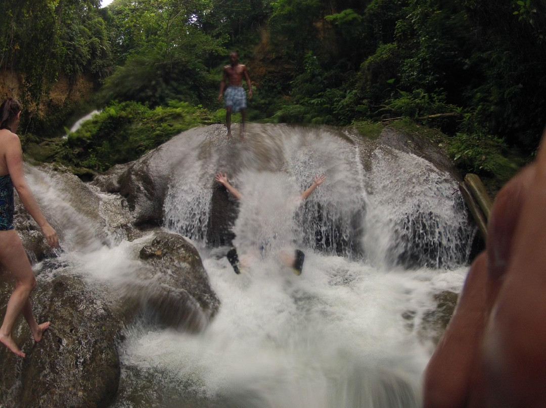 Peat Taylor Tours-奥乔里奥斯必去景点