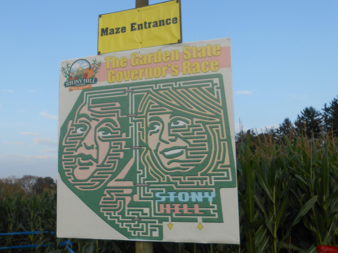 Stony Hill Farms景点图片